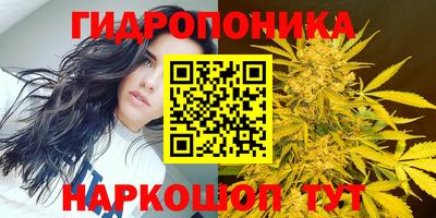 амфетамин Кингисепп